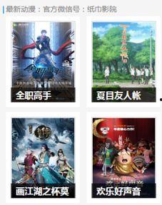 青春草视频国产,国产生态下的创新与活力